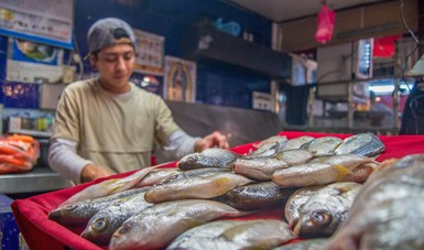 Garantizado el abasto de pescados y mariscos en la Cuaresma - Agencia  Informativa de México