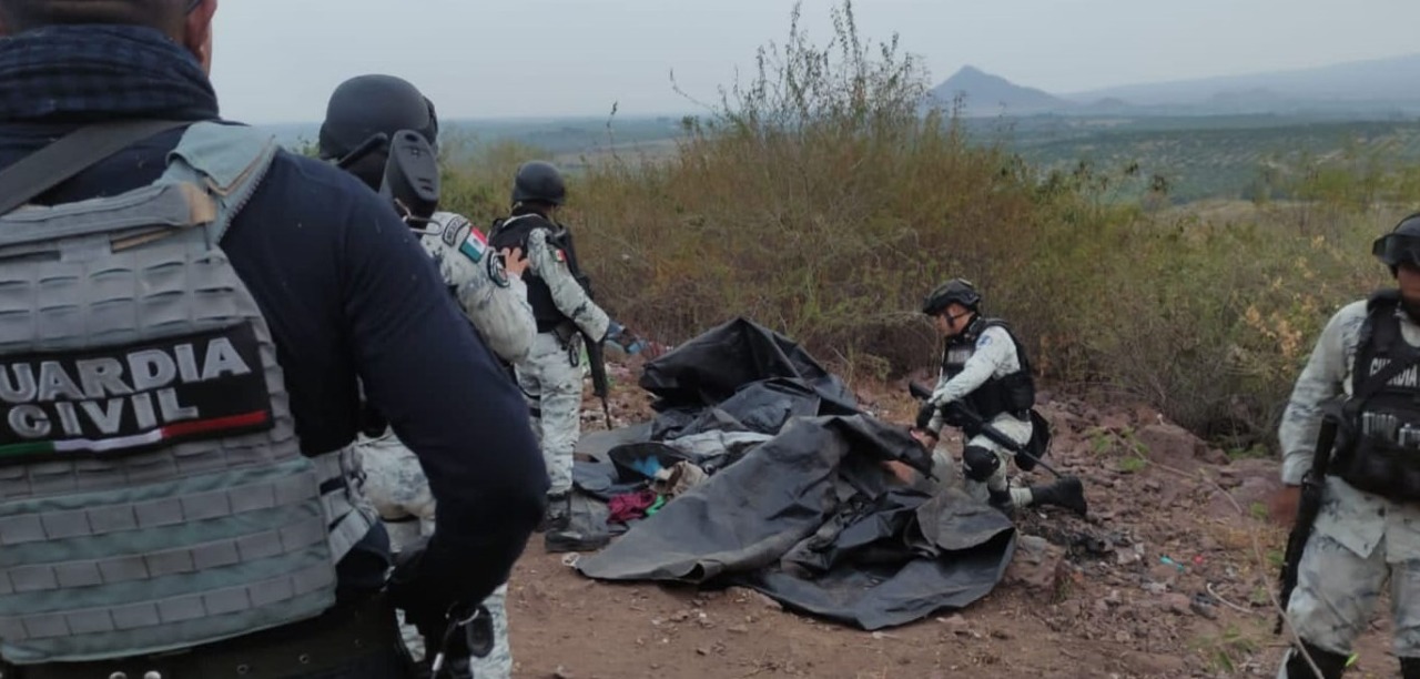Aseguran y destruyen narco campamento en Michoacán. Noticias en tiempo real